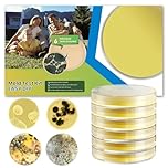 Mold Test Kit for Home - DIY Mold Test Kit for Indoor Air and Household Surface Detection, Includes Detailed Mold Identification Guide and Free Lab Analysis - 6 Detection Tests