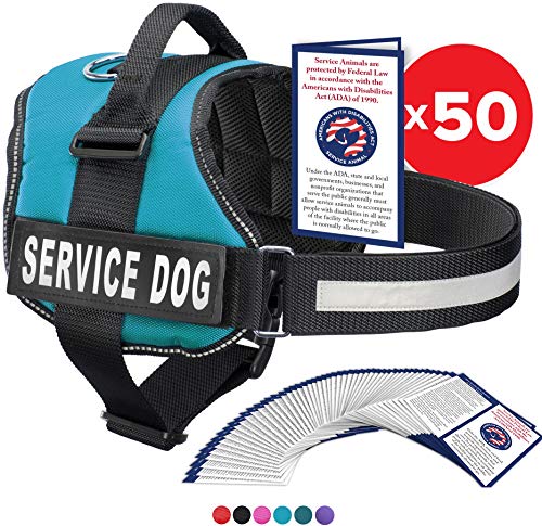 Service Dog Vest With Hook and Loop Straps and Handle - Harness is Available in 8 Sizes From XXXS to XXL - Service Dog Harness Features Reflective Patch and Comfortable Mesh Design (Blue, XS)