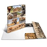 Lieferumfang: 1 HERMA Sammelmappe A3 Tiere Afrika (Länge/Breite/Höhe: 335 x 440 x 4 mm)
