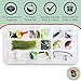 Tailored Tackle Trout Fishing Kit 77 Pc Tackle Box with Tackle Included | Tail Spinners Jerkbait Lure Crankbait Lures Jigs Bait Hooks Spoons Rooster Spinner Baits | Gear for Rainbow Trout Brook Brown
