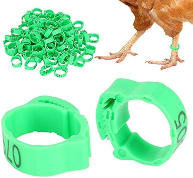 Zerodis Poultry Foot Ring, 100pcs 001-100 Numbered Plastic Bird Leg Bands Rings Poultry Chickens Ducks Goose Leg Bands RingsGreen