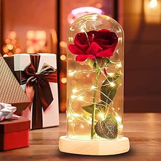 Beauty and the Beast Rose, Forever Red Rose with Light Enchanted Silk Rose in Glass Dome, Never Fade Rose Gift for Mother's Day, Anniversary, Birthday, Valentine's Day, Room Decoration