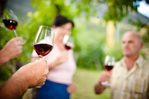 Kellerei Kaltern Goldmuskateller Moscato Giallo Südtirol Wein lieblich, 750ml