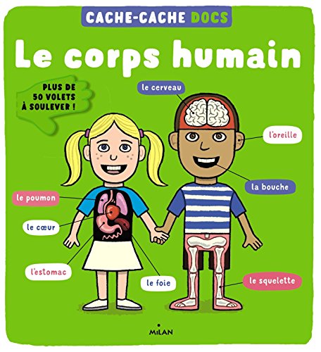 Télécharger Cache-cache docs - Le corps humain PDF Ebook En Ligne