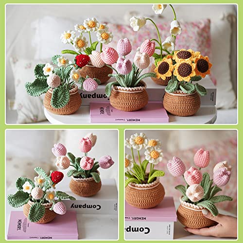 Mgahyi Diy Crochet Kit For Beginners, Strawberry Crochet Starter Kit For Adults And Kids, Crocheting Knitting Kit With Step-By-Step Video Tutorials (Strawberry) #TOP7