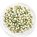 50g Té de flores Jazmín principios de primavera Té de hierbas orgánico natural en flor Imagen de 50g Té de flores Jazmín principios de primavera Té de hierbas orgánico natural en flor
