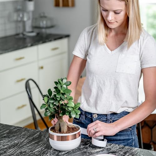 ELK Copper Foil Tape with Conductive Adhesive for Guitar, EMI Shielding, Crafts, Electrical Repairs