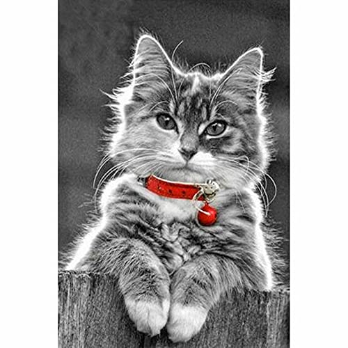 Kits de broderie diamants complets chaton 80x220 pour art créatif adulte