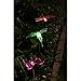 Solaration KB1041 Black Stake Solar Flower, Hummingbird, Butterfly and Dragonfly Garden Stake Lights, 4-Piece