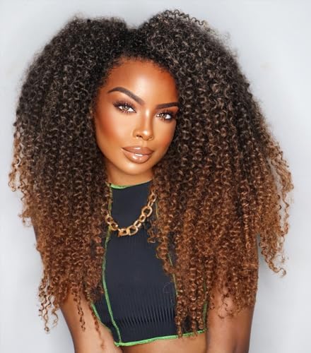 FANCEE Afro Kinky Curly Braiding Hair Ombre Brown...