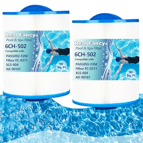 Real Fancy Hot Tub Spa Filter Replacement Cartridge 2 Pack Replace Artesian Spas, Tidal Fit Swim 06-0006-12, 06-0005-12, AR50, AK-90161, XLS-604, 6CH-502, PAS50SV-F2M, FC-0311, 50 Sq.ft.