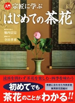 5156l2pO-YL._AC_UF350,