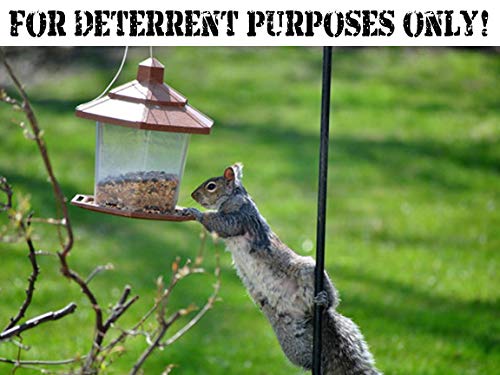 25 Feet Of Real Barbed Wire - 18 Gauge 4 Pt - (25 Feet) Light Duty - More Flexible - Perfect For Yard Or Crafts - Made In Usa #TOP3