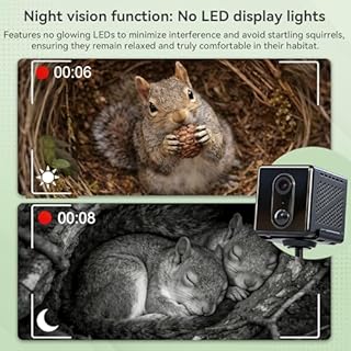 Smart Squirrel Box with Camera Solar Powered, Squirrel House with Camera 2K HD Wi-Fi Auto Detection & Night Vision, Predator-Proof Squirrels House for Outside Nesting, APP Control, 2.4G Only