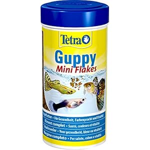 Tetra Guppy Mini Flakes, uitgebalanceerde voedingsrijke vlokkenvoeding voor guppies, verschillende soorten
