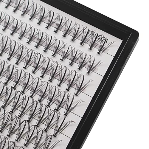 Dedila Large Tray Grafted Individual False Eyelashes Thickness 0.07Mm D Curl Makeup Soft Lightweight Cluster Lashes Easy To Apply Diy Eye Lashes Mixed 10-12-14-16Mm/14-16-18Mm To Choose (Mixed 14-16-18Mm) #TOP1