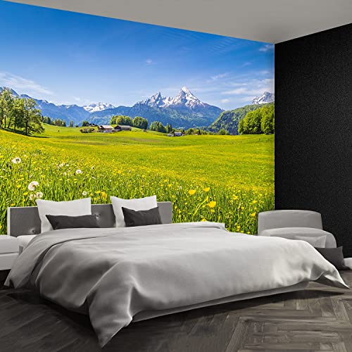 Papier peint protection 250x104cm Tulup pour masquer un mur abîmé