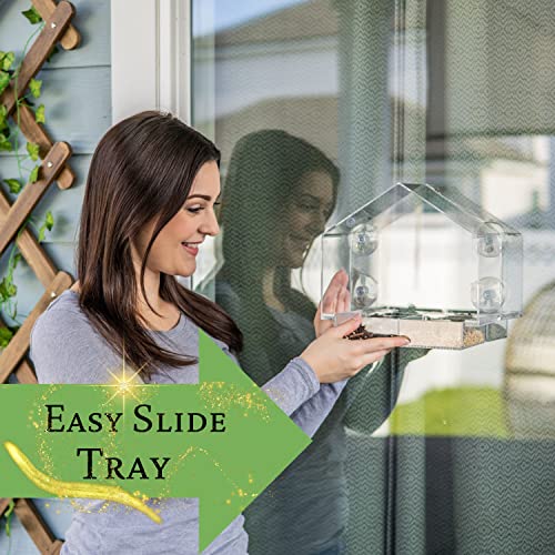 Birdwatcher's Paradise Bundle: Innovative Window Bird Feeder Combo