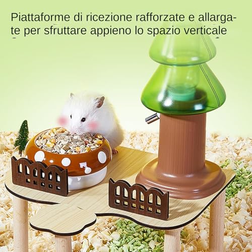 Maison de hamster et accessoires d'exploration en bois brut de qualité