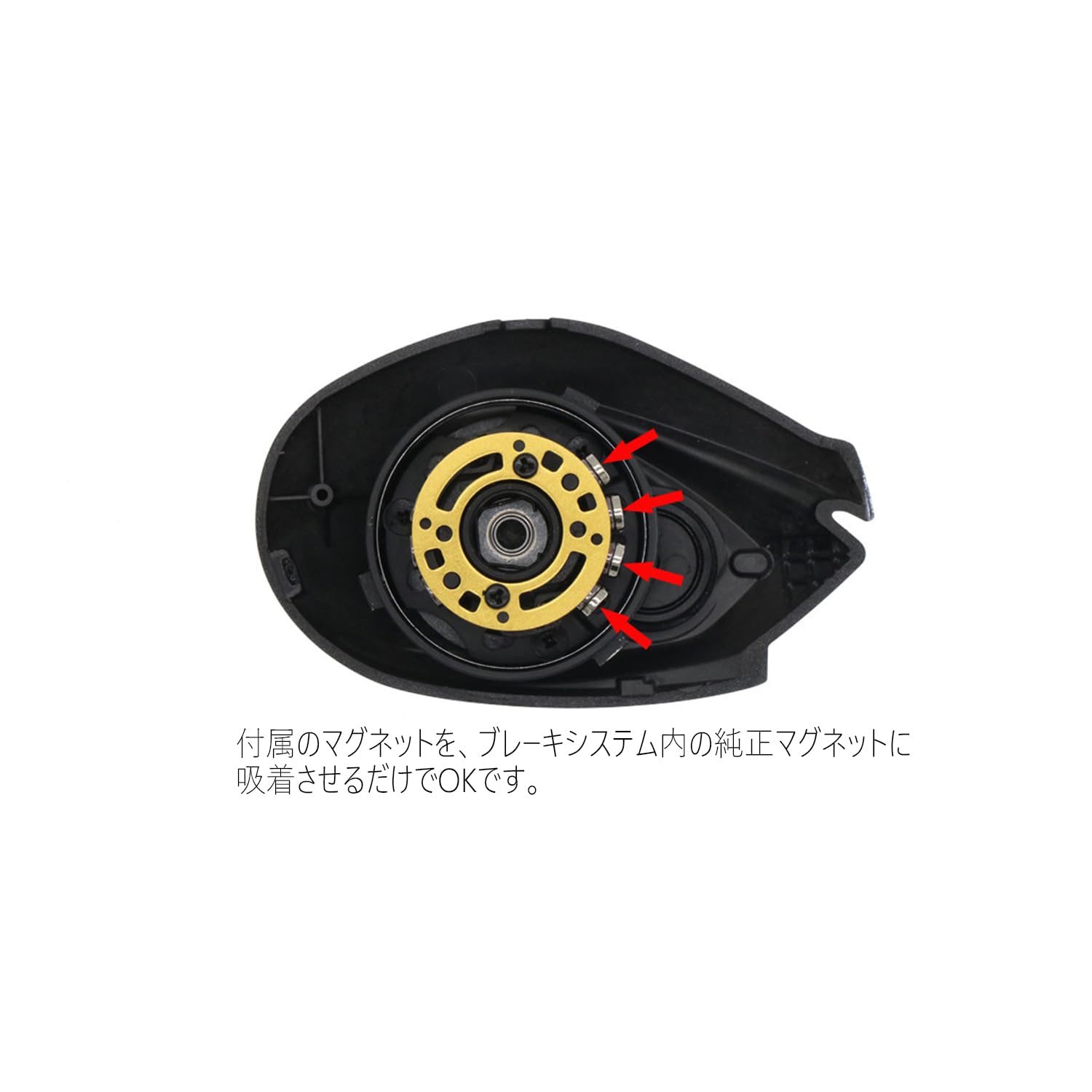 Amazon | AMO カスタムスプール 23 / 26 カルカッタコンクエスト BFS