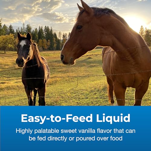 Image of PetAg Dyne High Calorie Liquid Nutritional Supplement for Livestock - 32 oz - Includes Added Vitamins - Excellent for Underweight, Stressed, or Recovering Animals