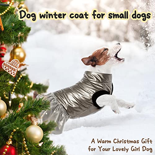 Lelepet Dog Winter Coat, Warm Dog Dress For Cold Weather, Waterproof Windproof Girl Dog Jacket, Dog Coat With Thick Plush Lining & Leash Hole, Pet Vest Apparel For Puppy Small Medium Dogs For Winter #TOP3