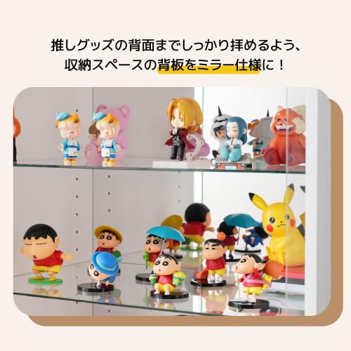Amazon.co.jp: BTM コレクションケース ワイド 大容量 コレクション