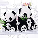 Es ist so süß, so haarig, so weich, so komfortabel, zwei runde große schwarze Kreise