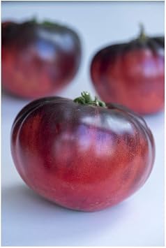 PREMIER SEEDS DIRECT Tomato - Indigo - Blue Beauty - 10 Finest Seeds