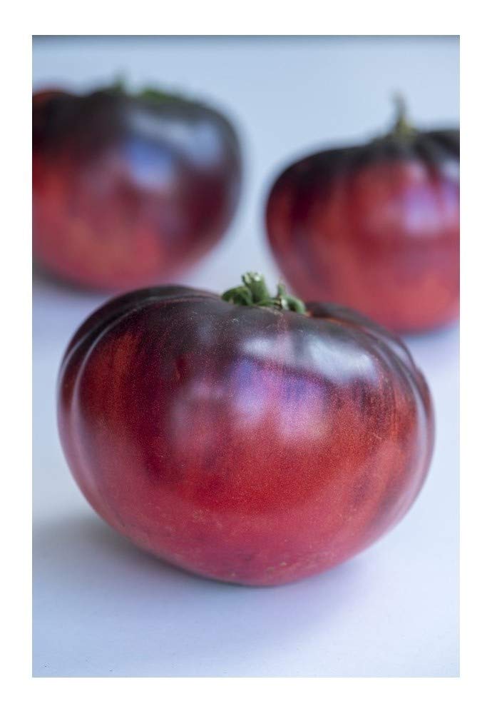 PREMIER SEEDS DIRECT Tomato - Indigo - Blue Beauty - 10 Finest Seeds