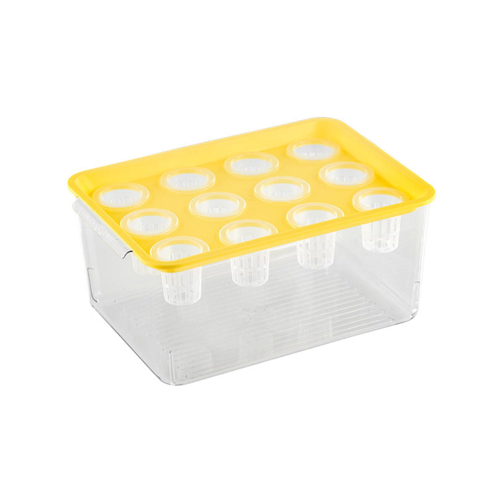 Rxgiasup Multi Purpose Propagation Box Container for Vegetables Indoor Plant Gardens and Learning Activities Pellucid Seedling Tray