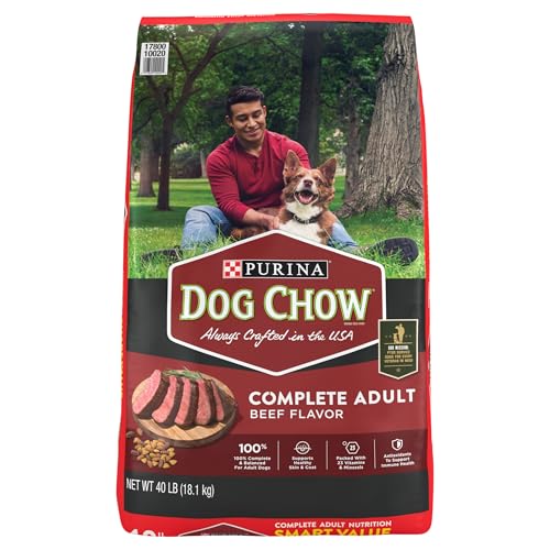 Purina Dog Chow Complete Beef Dog Food 640 Ounce