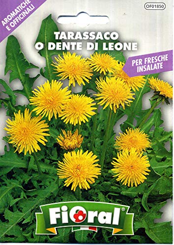 sementi di piante aromatiche e officinali in bustina ad uso amatoriale (tarassaco o dente di leone)