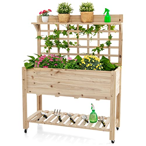 S AFSTAR Raised Garden Bed with Trellis, 41.5x16x54in Mobile Elevated