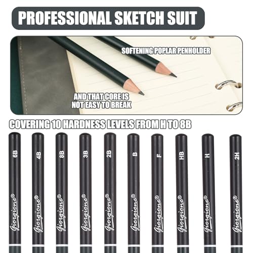 27 Stk Zeichenset Professionell, Zeichenstifte Professionell Sets, Bleistift Set zum Zeichnen Zubehör, mit Kohlestifte zum Zeichnen Sets, Graphitstift Bleistifte verschiedene Härtegrade für Künstler