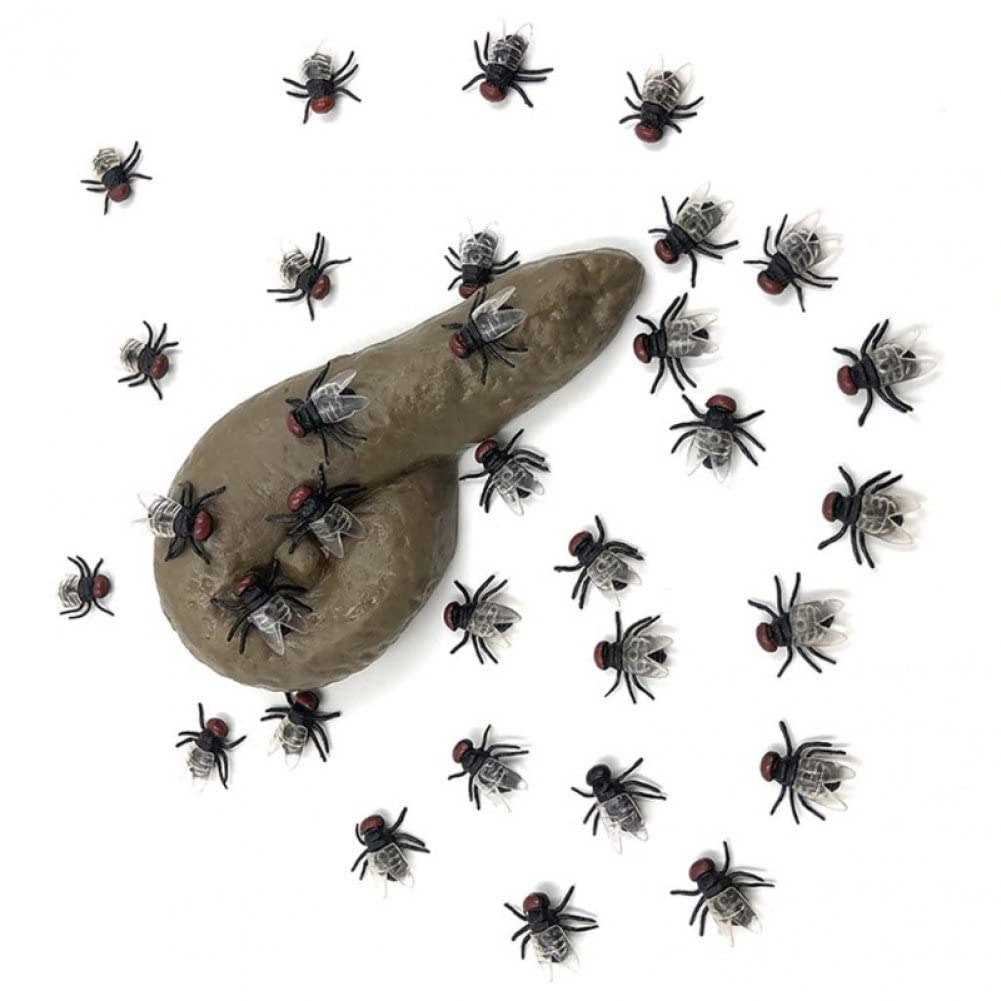 Lot de 30 mouches en plastique - Mouches artificielles - Insectes artificiels - Jouets réalistes - Petites mouches pour plaisanteries, poissons d'avril, Halloween, accessoires de fête Lot de 30 mouches en plastique - Mouches artificielles - Insectes artificiels - Jouets réalistes - Petites mouches pour plaisanteries, poissons d'avril, Halloween, accessoires de fête