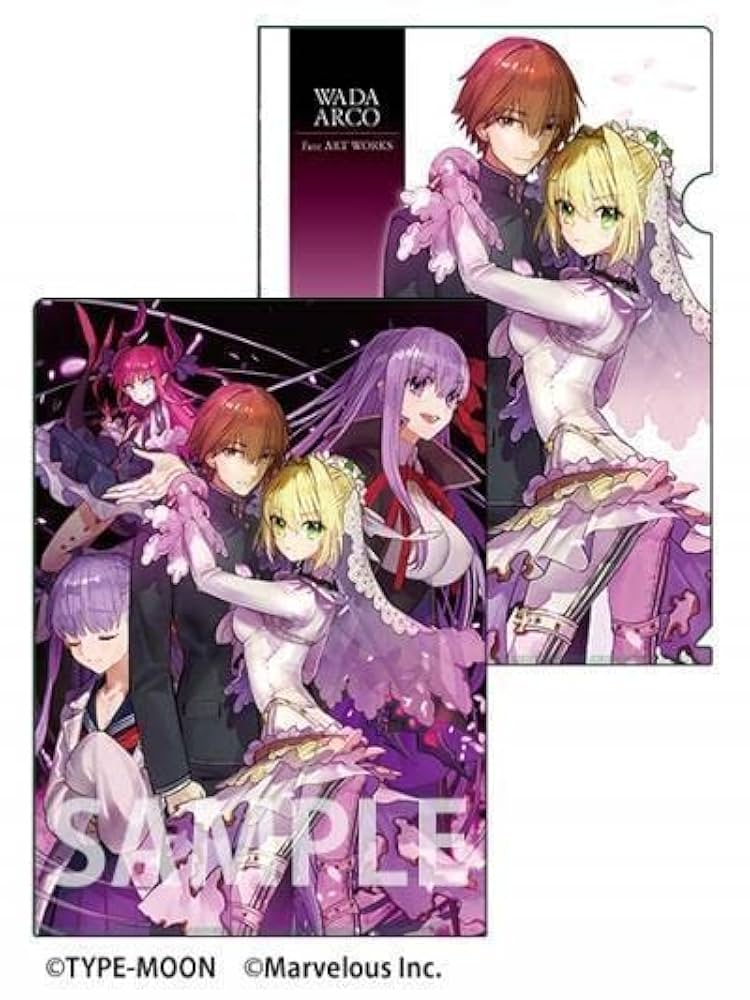 ワダアルコ 画集 Fate/EXTRA』シリーズのキャラクターデザインを担当している