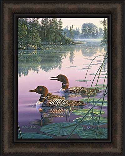 Home Cabin Décor 'Northern Splendor' by Kim Norlien 16x20 Loons Pair Baby Lake Swimming Birds Framed Art Print Picture