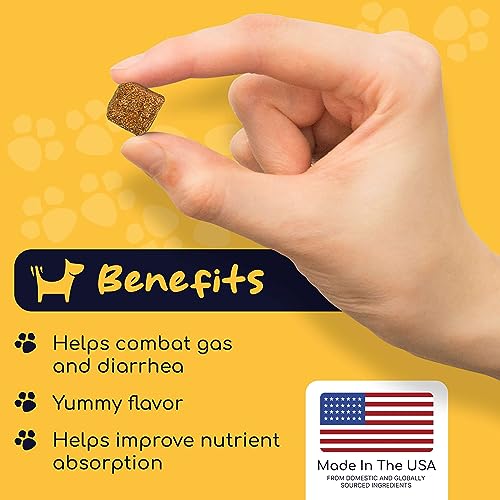 Dog Probiotics and Digestive Enzymes, 120 Delicious Chew Treats for Gut Health, Diarrhea, and Constipation – Hydrolyzes Nutrients for Better Absorption Dog Probiotics and Digestive Enzymes, 120 Delicious Chew Treats for Gut Health, Diarrhea, and Constipation – Hydrolyzes Nutrients for Better Absorption