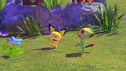 New Pokémon Snap Switch code de téléchargement jeu vidéo simulation photo - 6