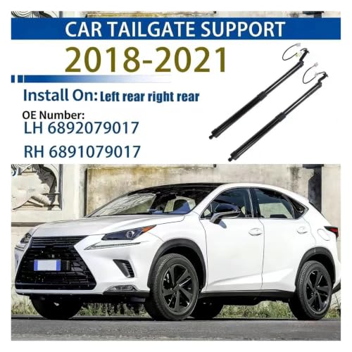 Vérins de hayon bloqués ? Solution support pour Lexus NX AZ10 - 4