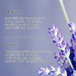 Public Goods Body & Hand Lotion for Women & Men | Natural Moisturizing Daily Lotion for Dry & Itchy Skin | Paraben & Sulfate Free | Made with Organic Essential Oils | Made in Canada | 34 Fl Oz Refill - Image 3