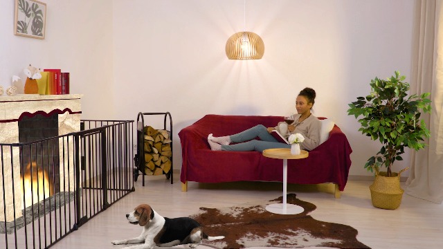Relaxdays veiligheidshekje, verstelbaar hondenhekje, kachel & haard, 91,5x154 cm, mdf, wit