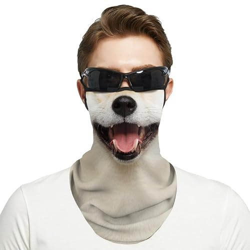 [Zleufirty]  tFCX}XN Aj} t ttFCX}XN }XN  I[goC tFCX}XN XL[ tFCX}XN TCNO}XN RXv nEBp[eB[ (1)