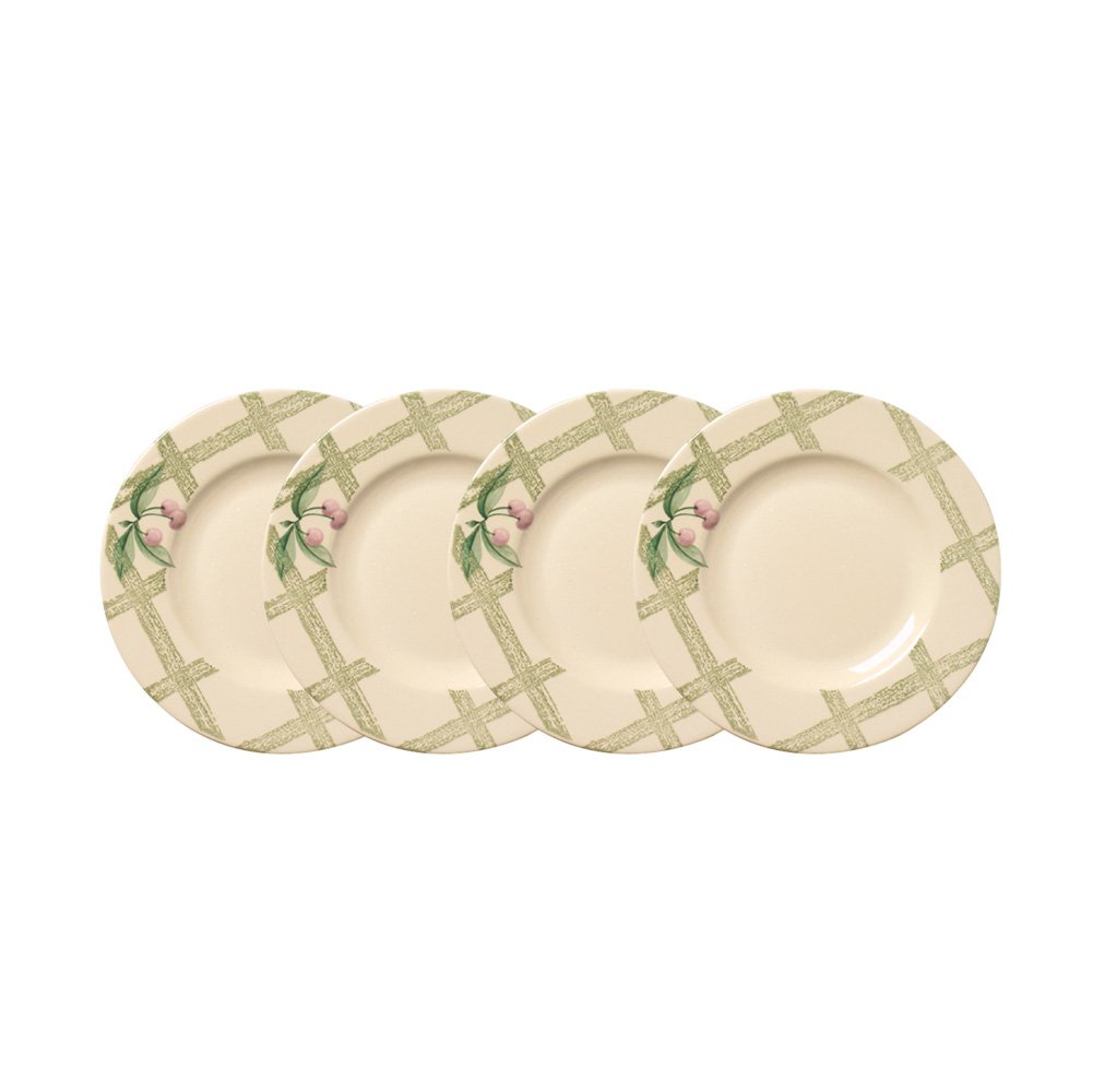 Pfaltzgraff Garden Party Salad Plate (8-1/4-Inch, Set of 4)