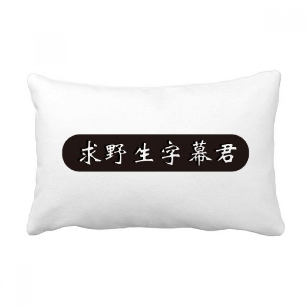 Coussin lombaire chinois contre le mal de dos sur canapé 16x24 pouces