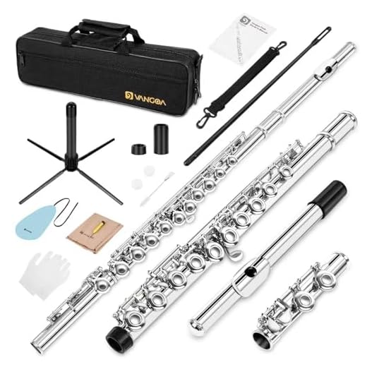 Vangoa Closed Hole C Flauta niquelada con estuche rígido, soporte, varillas de limpieza, guantes y kit de limpieza