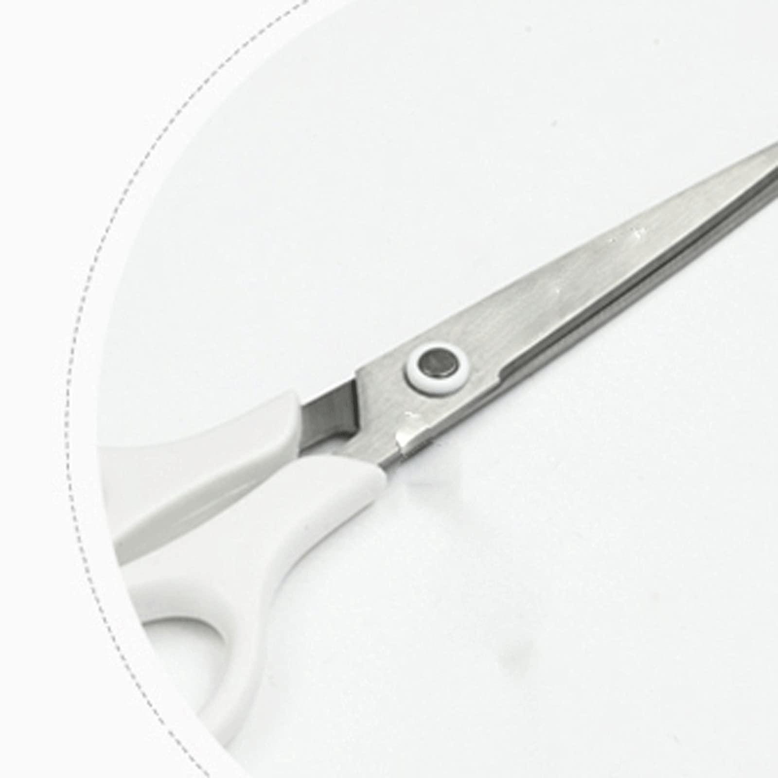 Forbici da cucina multifunzionali, comoda impugnatura bianca, forbici per uso domestico in acciaio inossidabile Fusion-Set da 1 pezzo