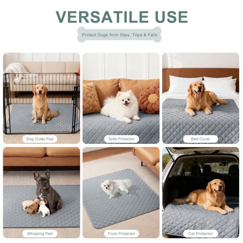 Image of Eterish Reusable Washable Pee Pads for Dogs Extra Large 54'' x 54'' 2 Pack, Absorbent Pet Puppy Dog Training Pads Non-Slip, Waterproof Whelping Potty Pads for Dogs Leak-Proof