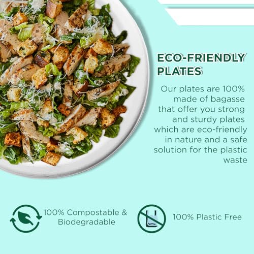 Image of Ezee Disposable 11 Inch Round Bagasse Plates I Pack of 10